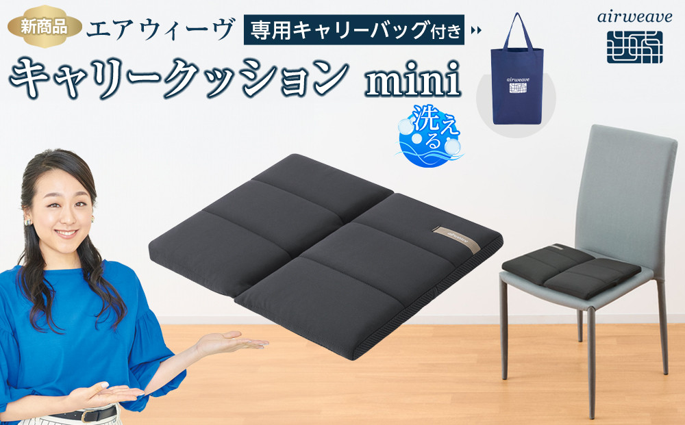 ★TBSテレビ系列「ひるおび」で取り上げられました！★ エアウィーヴ キャリークッションmini