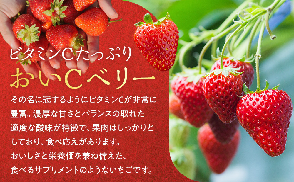 ãã ããæ œå¹ ãã¡ã ããCããªãŒ çŽ1kgïŒçŽ250gÃ4ããã¯ïŒã2026幎1æäžæ¬ïœ2026幎4ææ«ãŸã§ãå±ãã