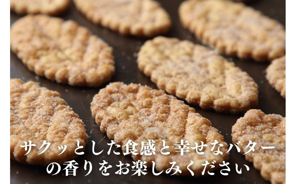 譟雁アア繝代う KASANE 30譫壼・繧