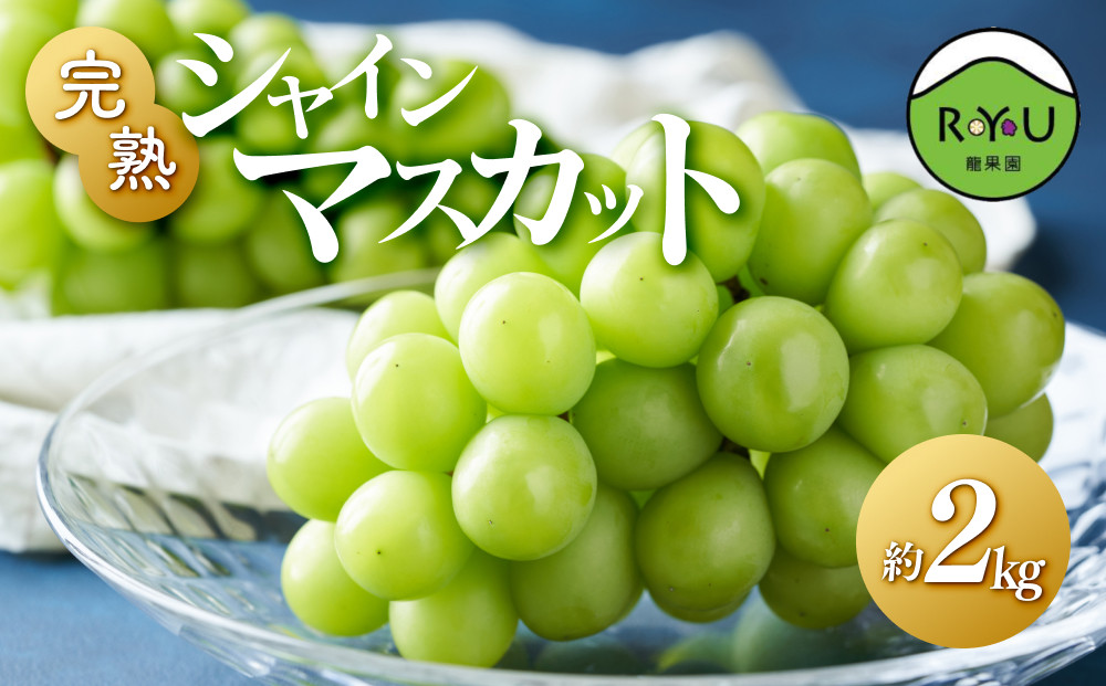 完熟シャインマスカット（通常品） 2kg