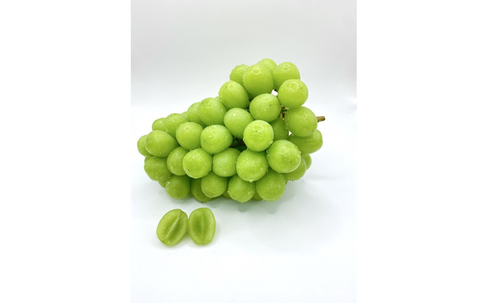 ãå
è¡äºçŽ2026幎8æé çºéã倧åºåžç£ãã·ã£ã€ã³ãã¹ã«ãã1.4kg(2ïœ3æ¿å
¥ïŒ