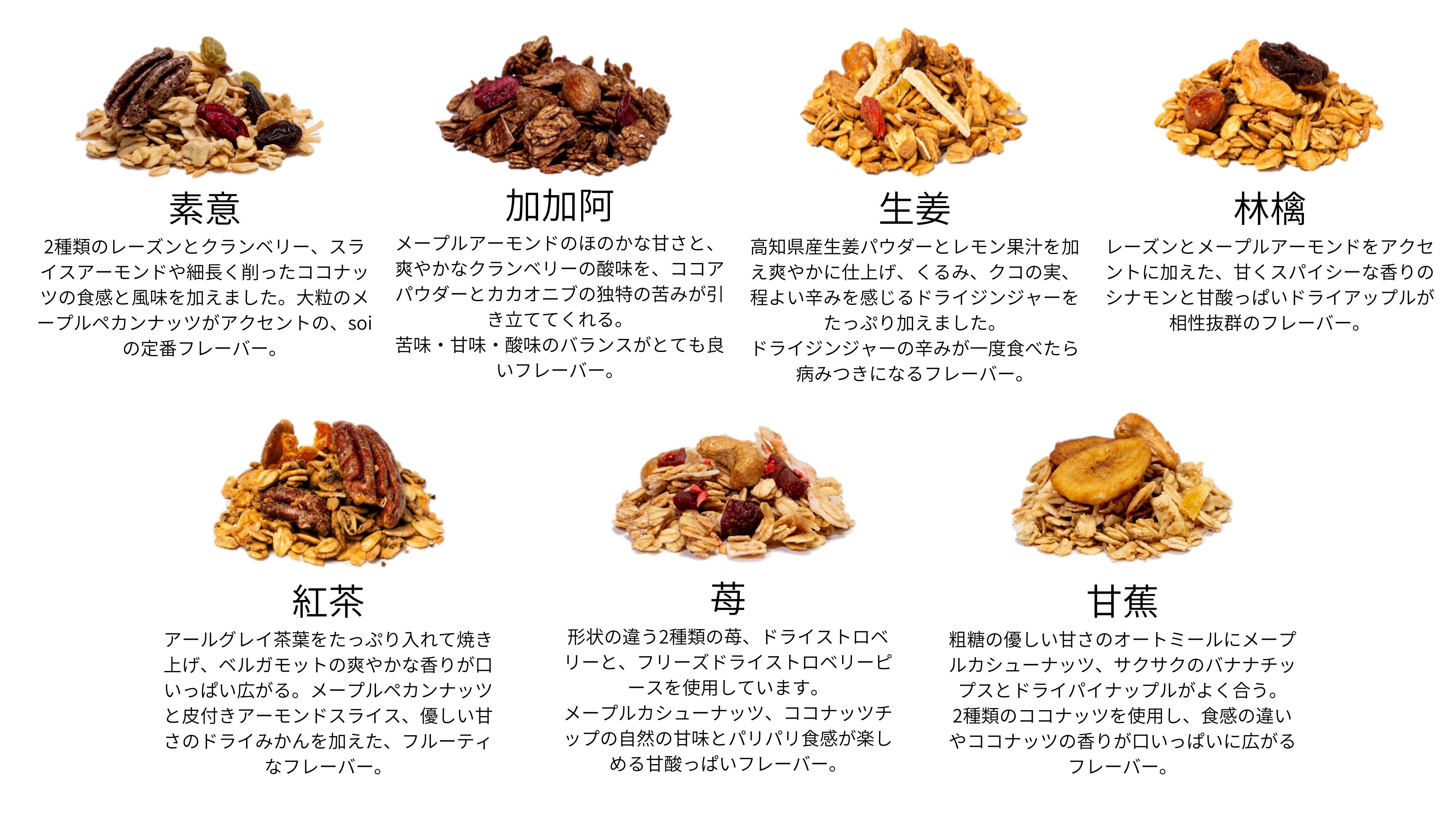 【定期便・全１２回】毎月届く soi 定番グラノーラ７種BOX