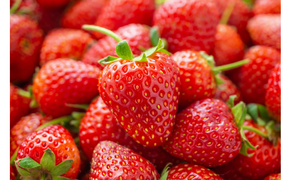 ãã ããæ œå¹ ãã¡ã ãé£ã¹æ¯ã¹ã çŽ1kg ã¯ãã²ïŒããCããªãŒïŒå2ããã¯ïŒã2026幎1æïœ2026幎4ææ«ãŸã§ãå±ãã