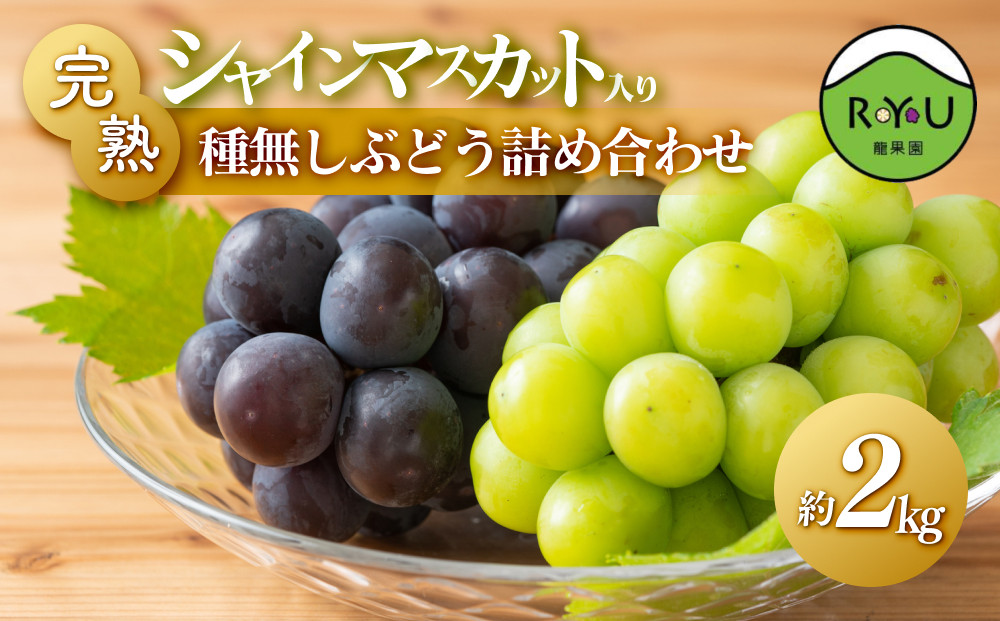 完熟シャインマスカット入り種無しぶどう詰め合わせ 2kg