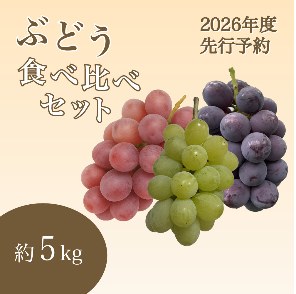 【2026年度_先行予約】【ご家庭用】ぶどう食べ比べセット 約5kg〔2026年8月中旬より順次発送〕
