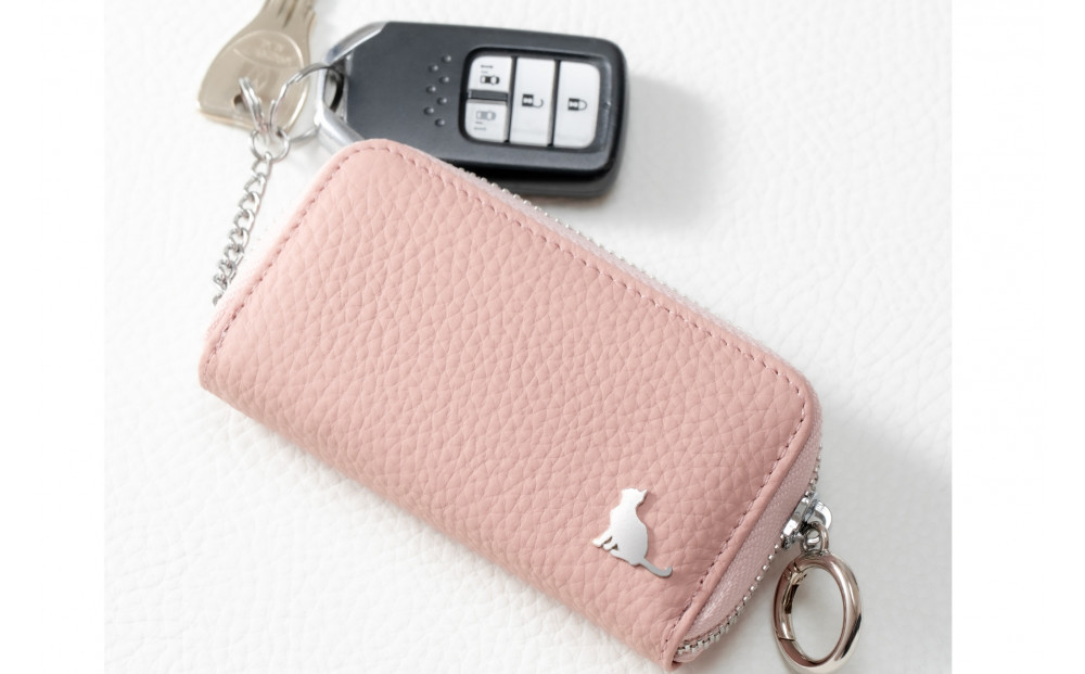 ãã¹ããŒãããŒå¯Ÿå¿ ã«ãŒããå
¥ãæ¬é©6é£ããŒã±ãŒã¹ãïŒèãã³ã¯ïŒ ããããã坿ããã³ã³ãã¯ããã¹ãªã ãç«ãã¬ã¶ãŒ