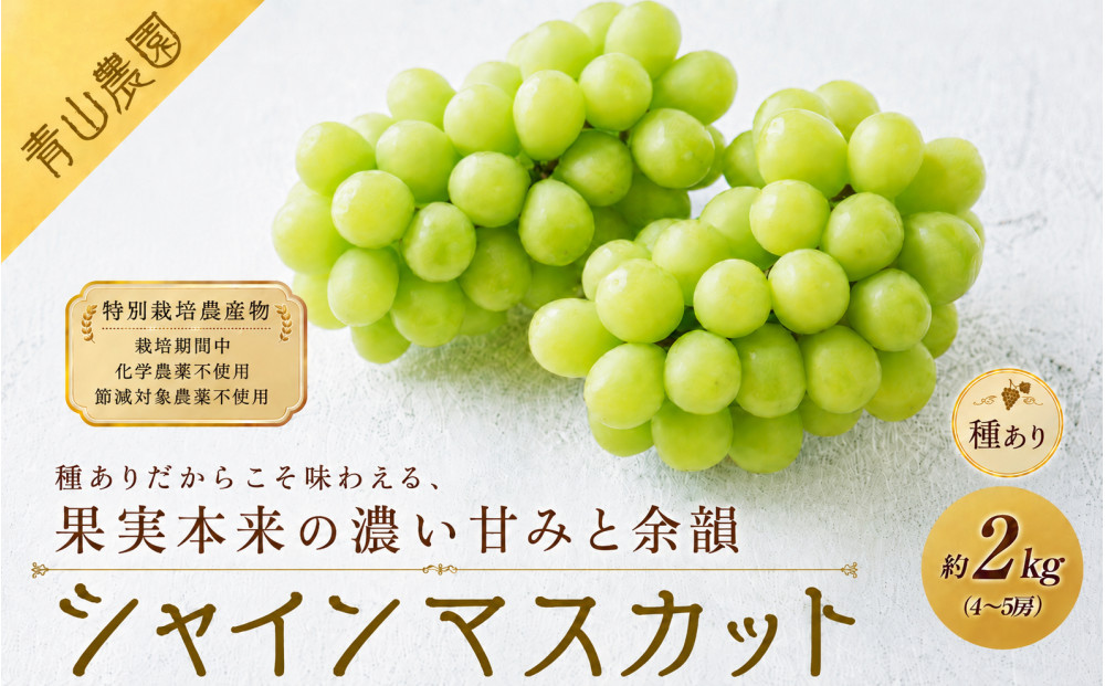 【先行予約】【数量限定】種ありシャインマスカット 約2kg（4〜5房）｜特別栽培農産物〔2026年8月上旬より順次発送〕