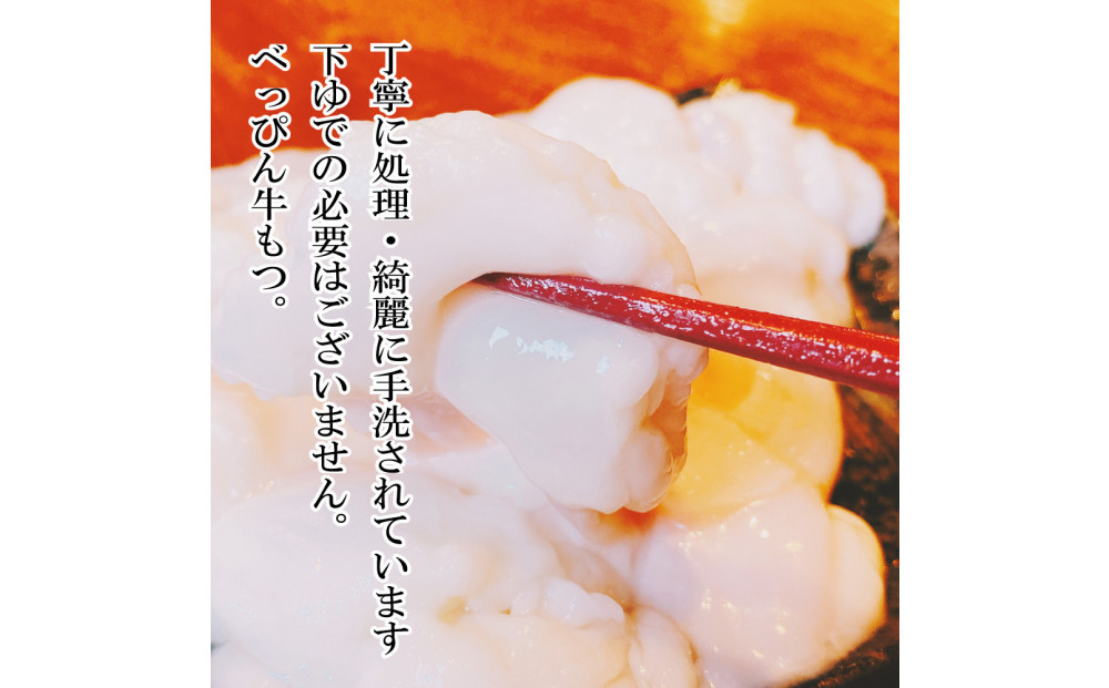 【生もつ鍋フルセット】名物 国産牛もつ鍋 味噌チゲ味 2～3人前 野菜・ラーメン付き フルセット【指定日配達】【冷蔵便】