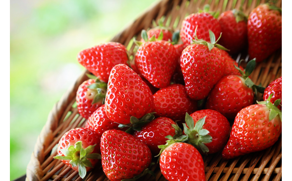 ãã ããæ œå¹ ãã¡ã ããã®ãçŽ1kgïŒçŽ250gÃ4ããã¯ïŒã2026幎1æïœ2026幎4ææ«ãŸã§ãå±ãã