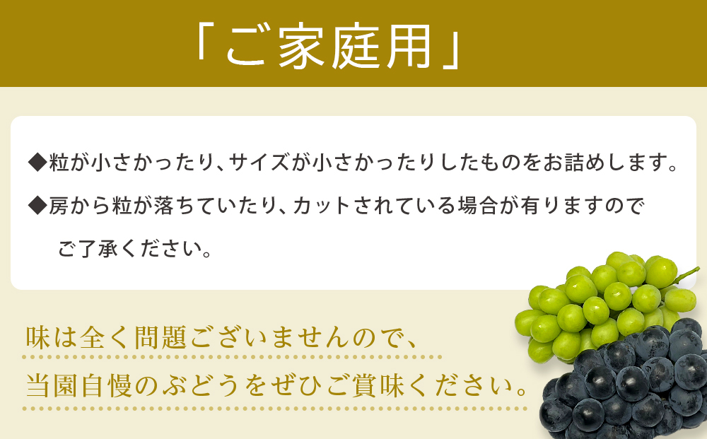 【2026年度_先行予約】【ご家庭用】巨峰（種あり）約1kg〔2026年8月上旬より順次発送〕