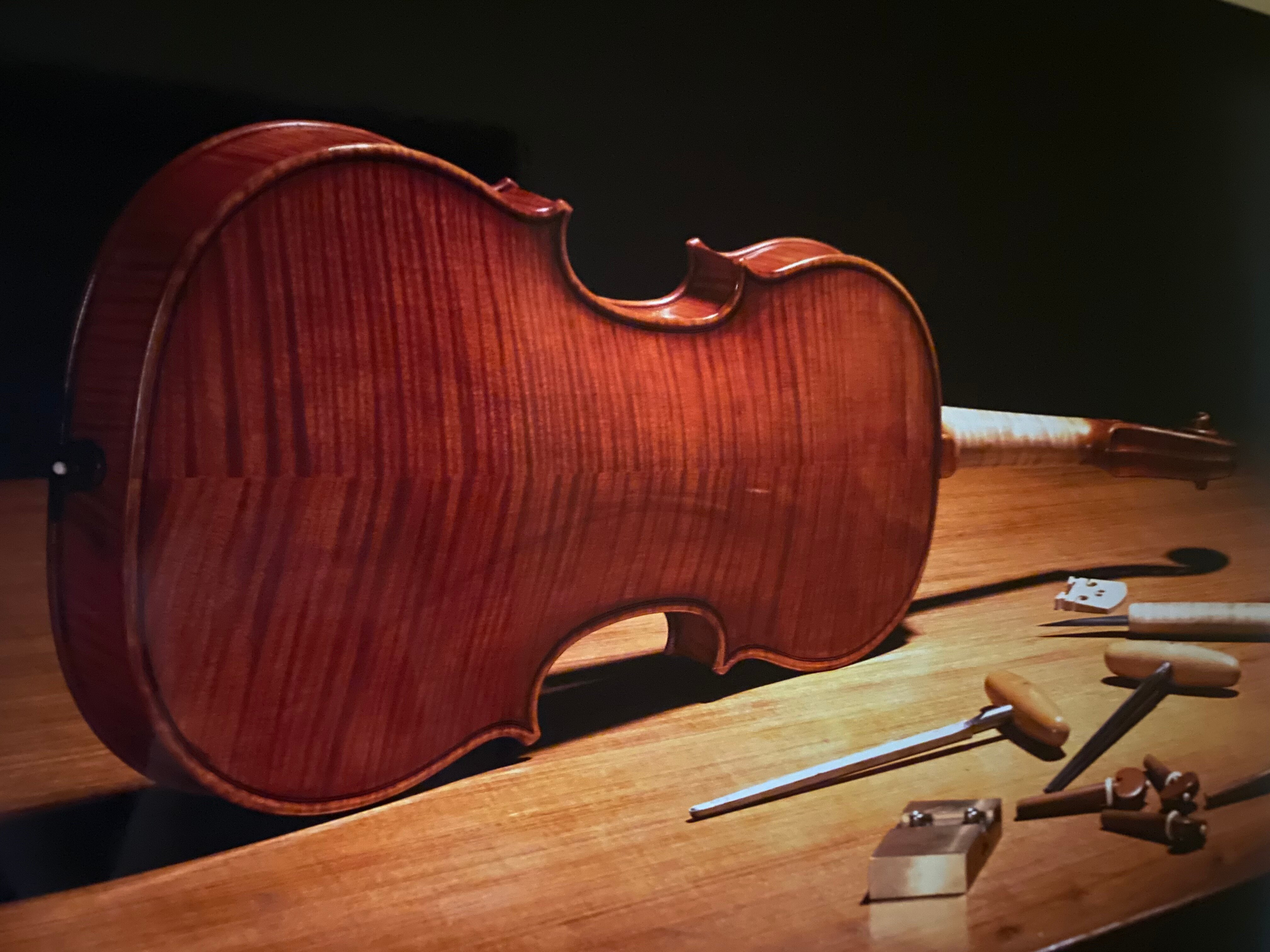 繝舌う繧ェ繝ェ繝ウ菫ョ逅繝サ繝。繝ウ繝繝翫Φ繧ケ 蛻ゥ逕ィ繝√こ繝繝15,000蜀蛻 (蠎苓怜女莉倡畑) 繝エ繧。繧、繧ェ繝ェ繝ウ 謇句・繧 菫ョ逅繝サ繝。繝ウ繝繝翫Φ繧ケ隱ソ謨エ 蛻ゥ逕ィ蛻ク 蝠蜩∝虻 蜑イ蠑募虻