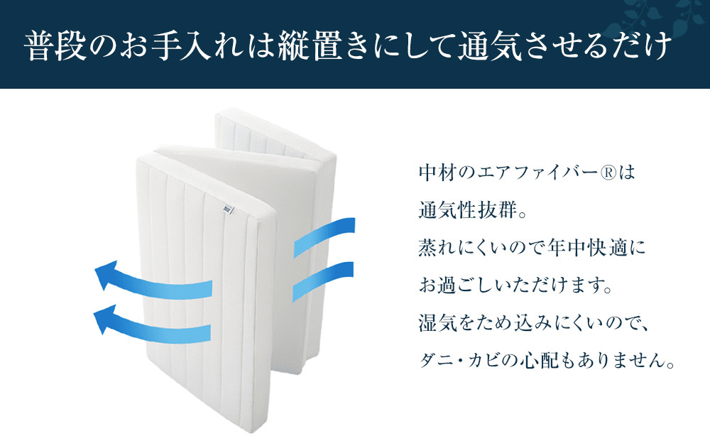 スマートZ01　特別仕様 シングル