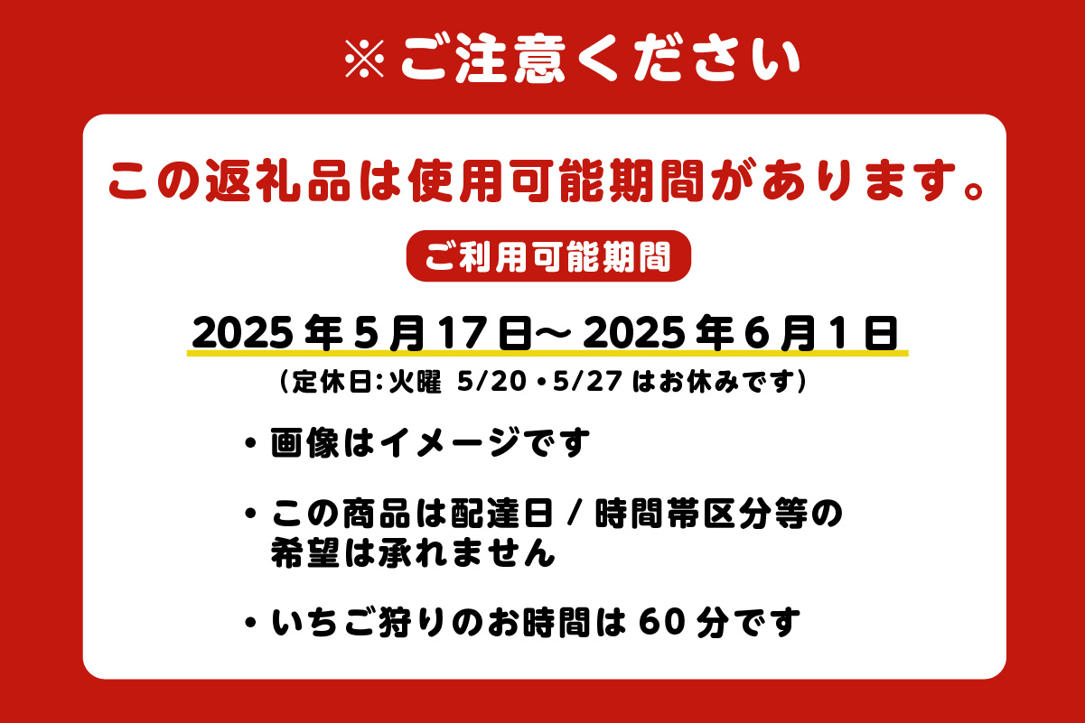 [№07-0050]いちご狩り優待券（ペア）お土産付