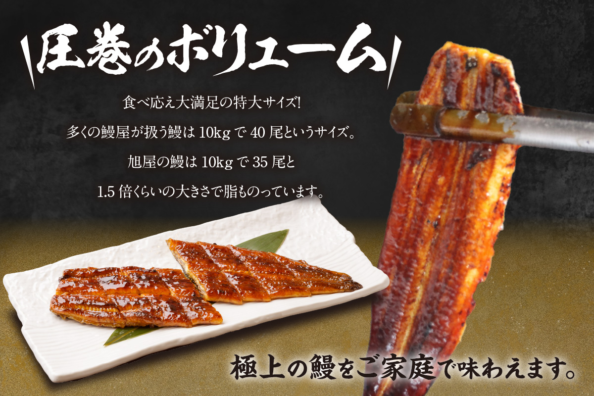 国産特大うなぎ長焼き６尾(約２５０ｇ)　合計１，５００ｇ以上（1666）