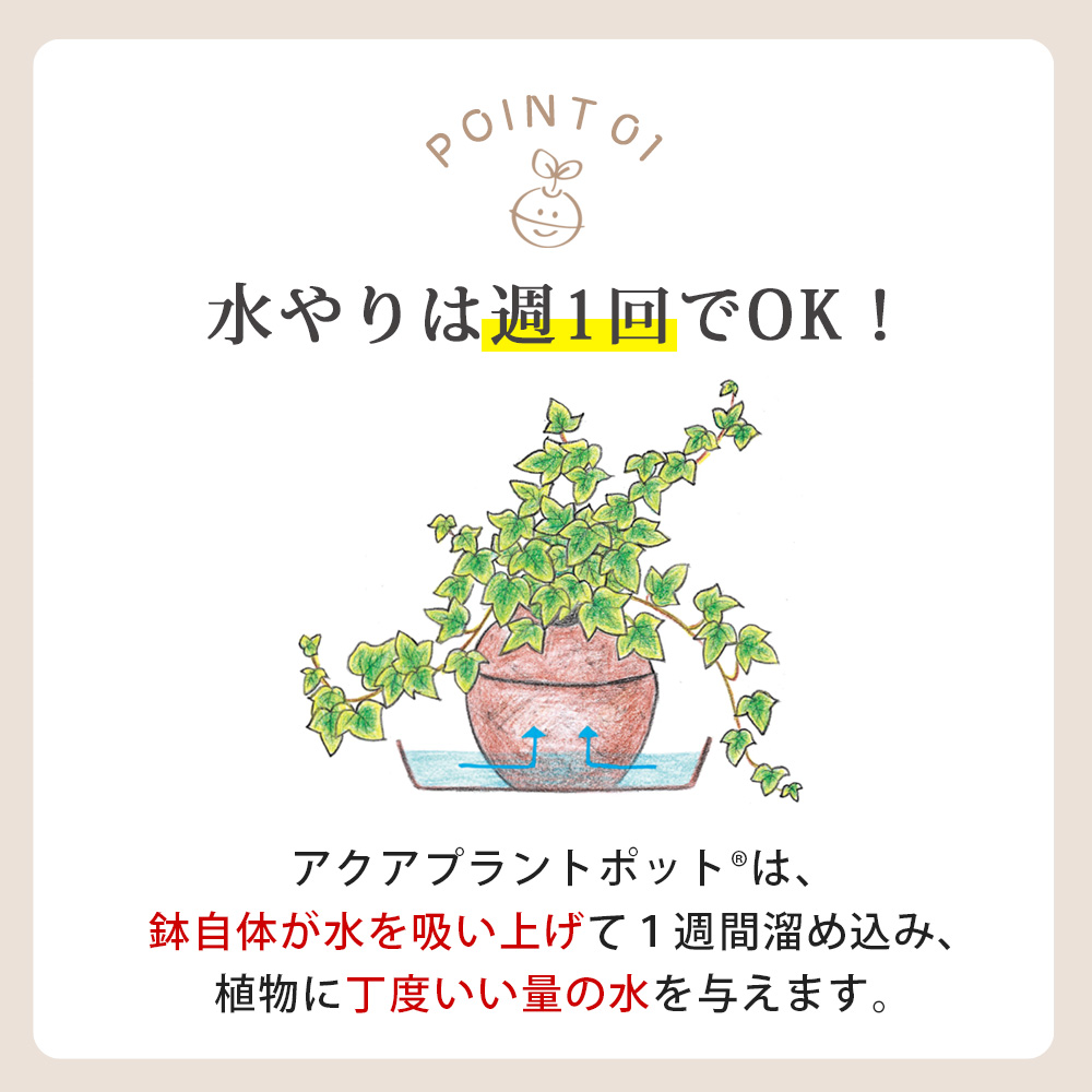 アクアプラントポット®　玉Ｍ 植木鉢テーブルヤシ（1654）