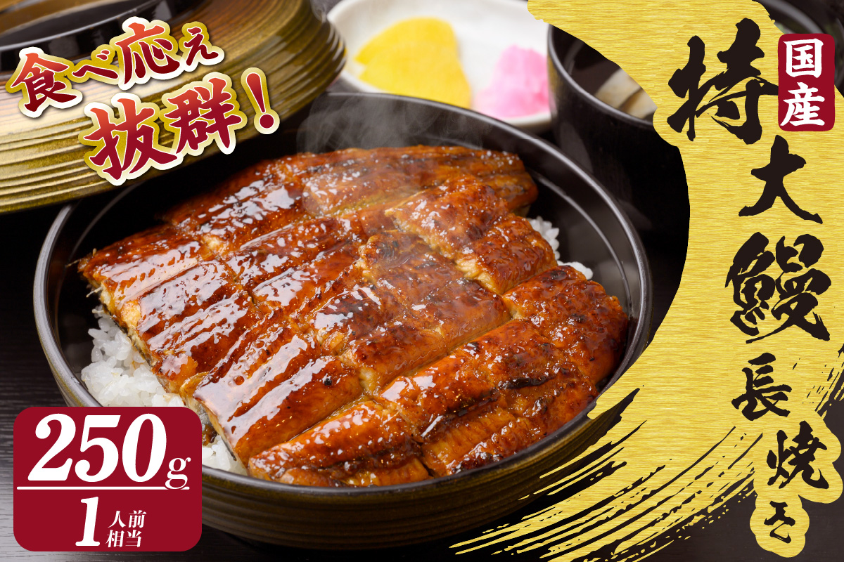 国産特大うなぎ長焼き１尾(約２５０ｇ)（1662）