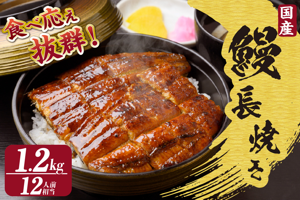 国産特大うなぎ長焼き６尾(約２００ｇ)　合計約１，２００ｇ（1666）