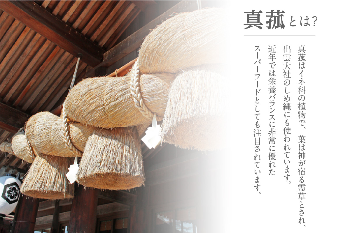 まこも茶（3394）