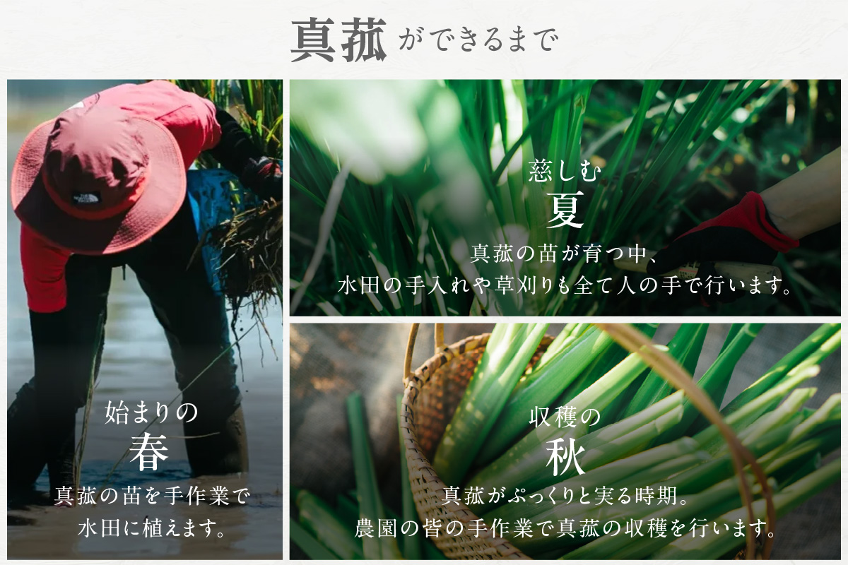 まこも茶（3394）