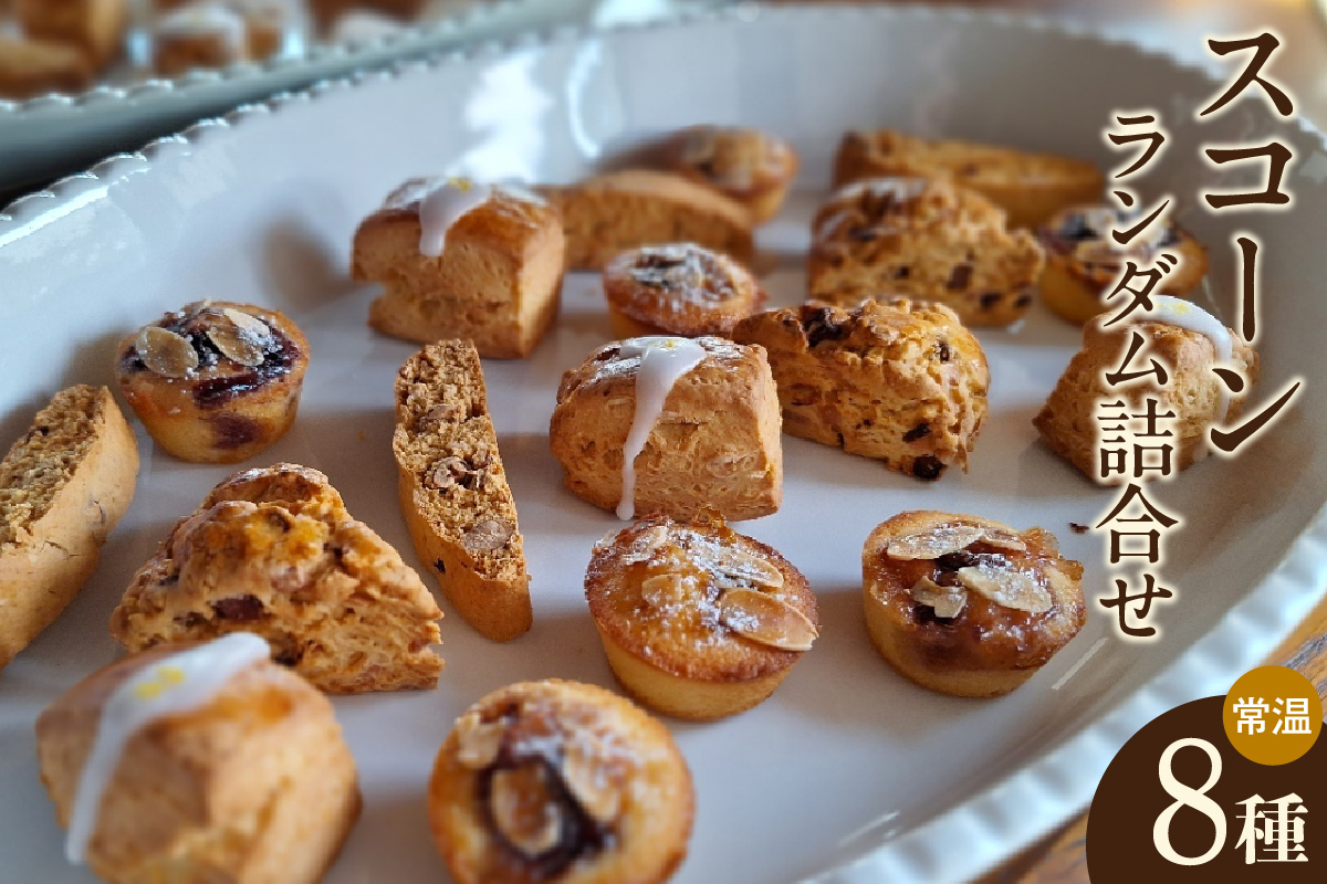 【11月～４月配送】スコーン８種ランダム詰合せ（グルテンフリー含む）（2037）