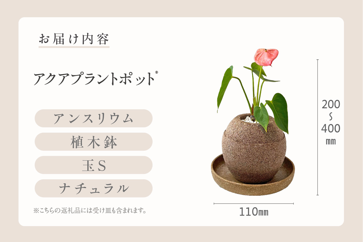 アクアプラントポット®　玉Ｓ 植木鉢　アンスリウム（2087）