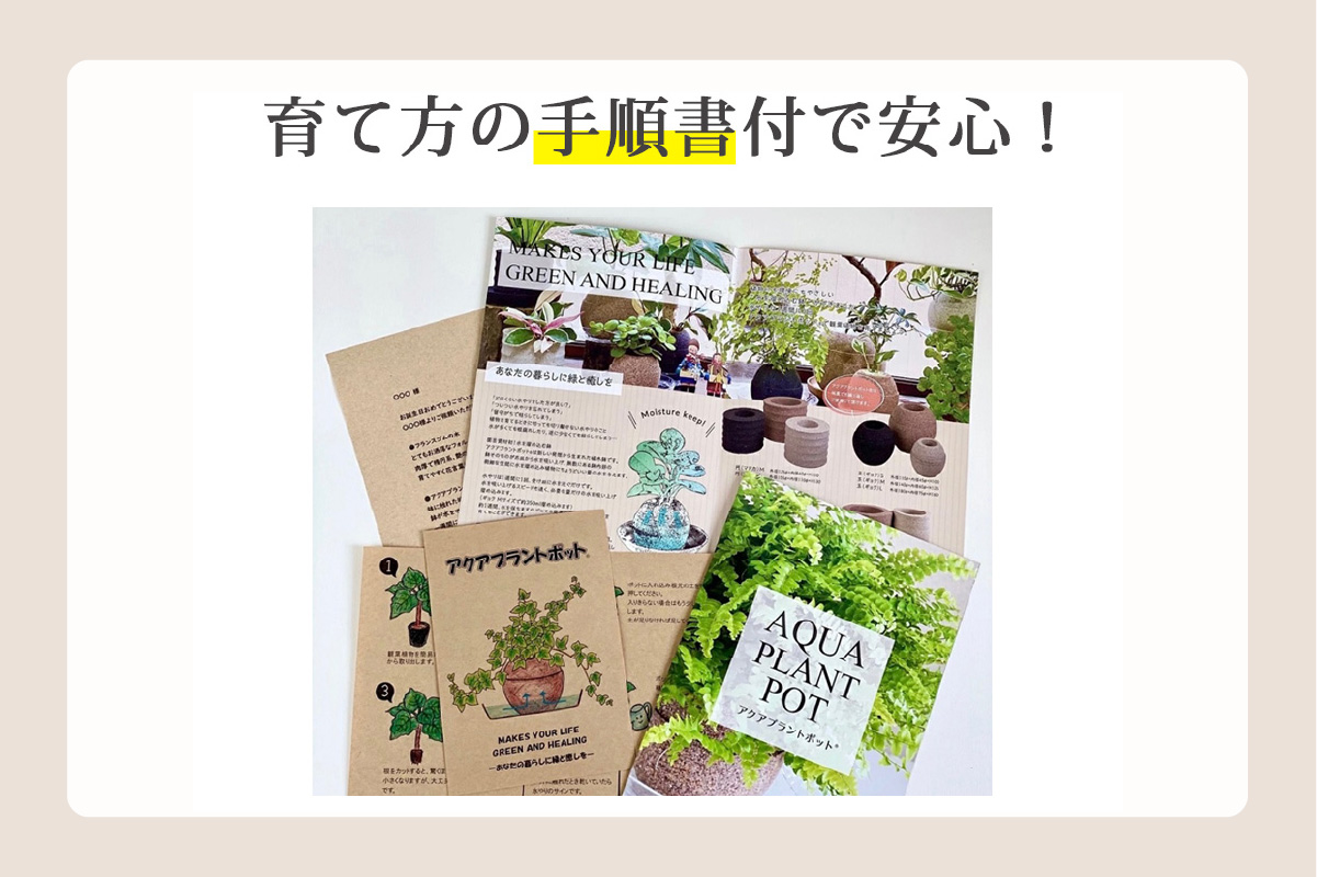 アクアプラントポット®　玉Ｓ 植木鉢コーヒーの木（2128）