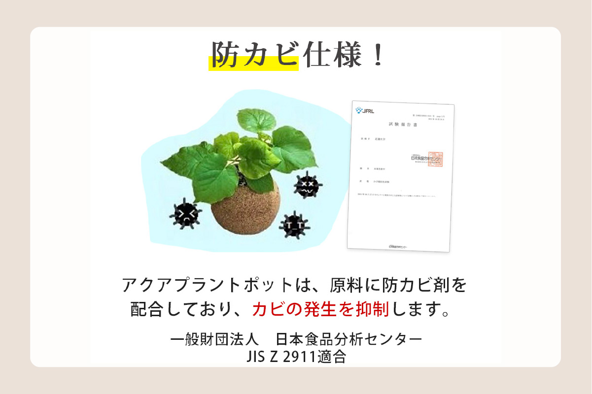 ã¢ã¯ã¢ãã©ã³ãããã®ãç æ€æšé¢ãã¬ãžã¥ãã«ïŒ2098ïŒ