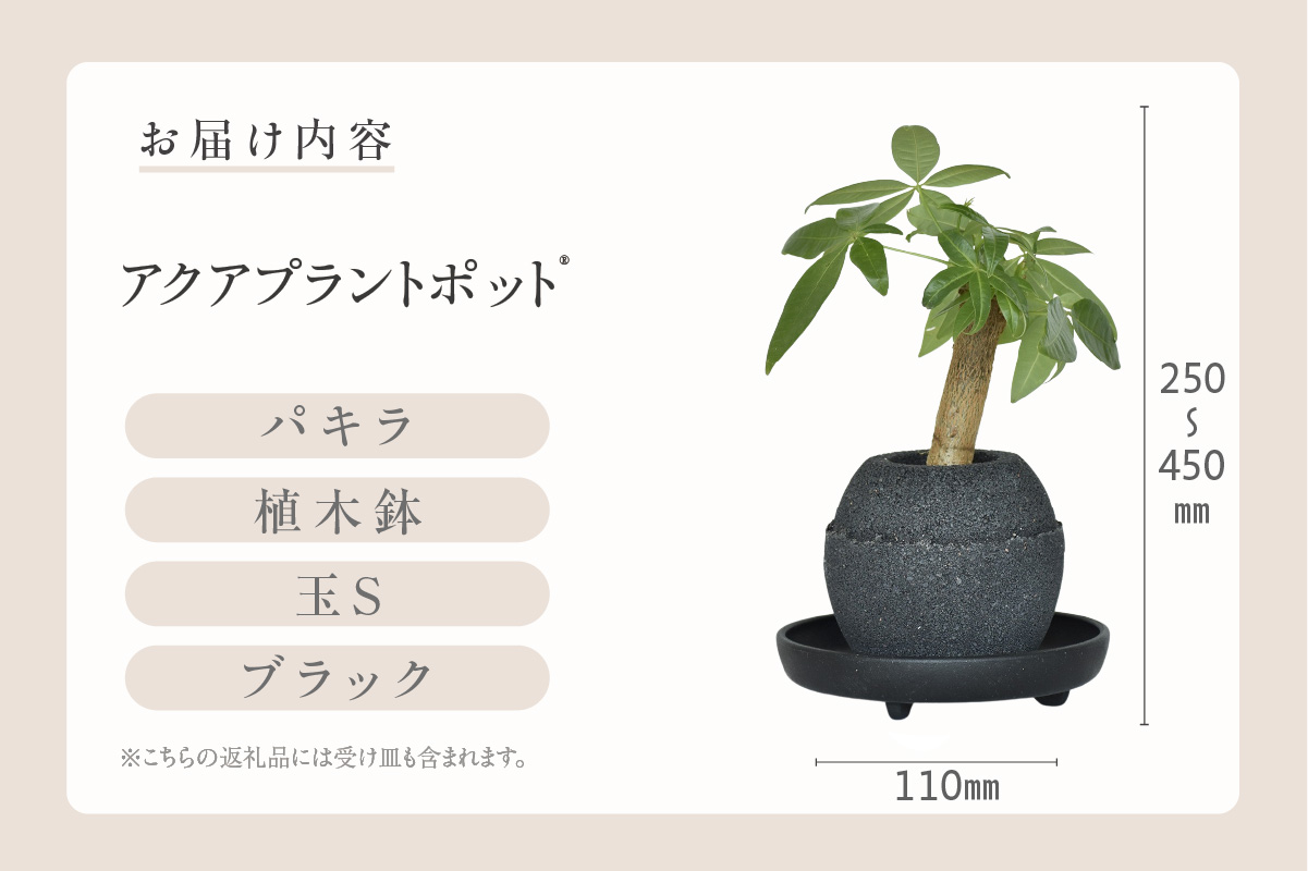 ã¢ã¯ã¢ãã©ã³ãããã®ãçïŒãã©ãã¯ïŒ æ€æšé¢ãããã©ïŒ2085ïŒ