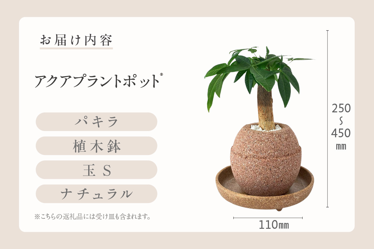 ã¢ã¯ã¢ãã©ã³ãããã®ãç æ€æšé¢ããã©ïŒ2127ïŒ