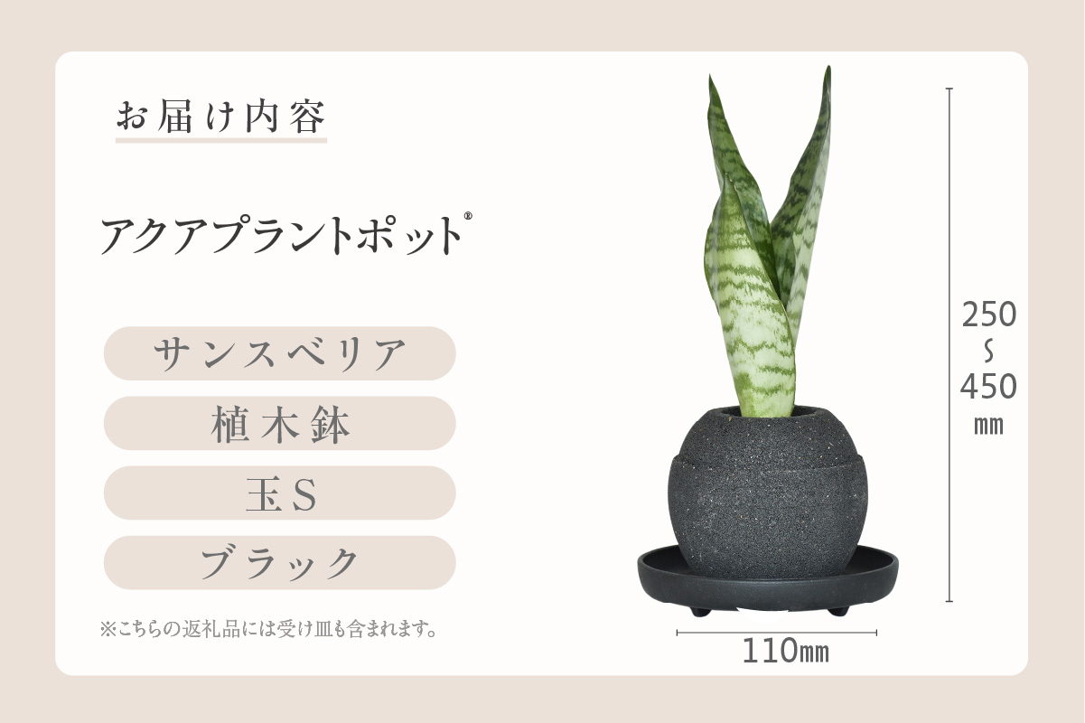 アクアプラントポット®　玉Ｓ（ブラック） 植木鉢　サンスベリア（2086）