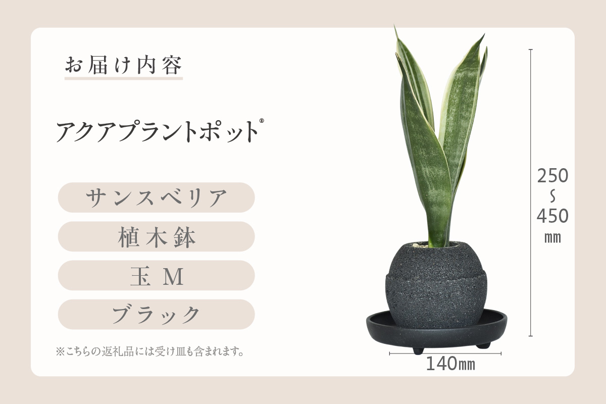 ã¢ã¯ã¢ãã©ã³ãããã®ãçïŒïŒãã©ãã¯ïŒ æ€æšé¢ããµã³ã¹ããªã¢ïŒ2093ïŒ