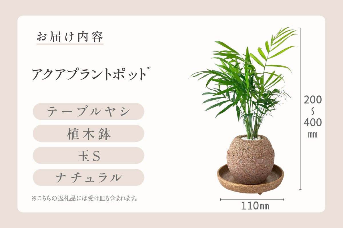 アクアプラントポット®　玉Ｓ 植木鉢テーブルヤシ（2129）