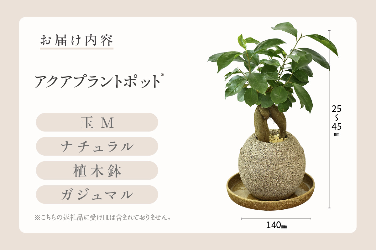 ã¢ã¯ã¢ãã©ã³ãããã®ãçïŒ æ€æšé¢ãã¬ãžã¥ãã«ïŒ2091ïŒ