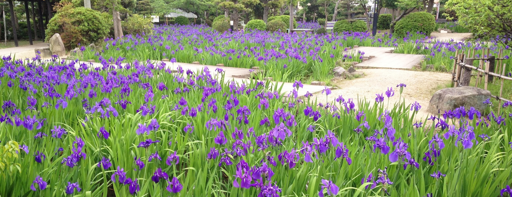 愛知県知立市