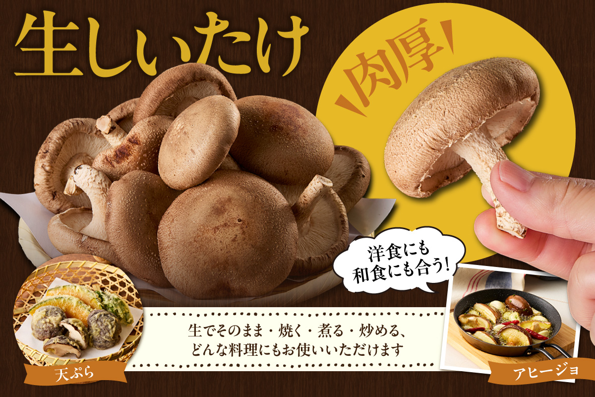 [№22-0022]空（テン）しいたけ