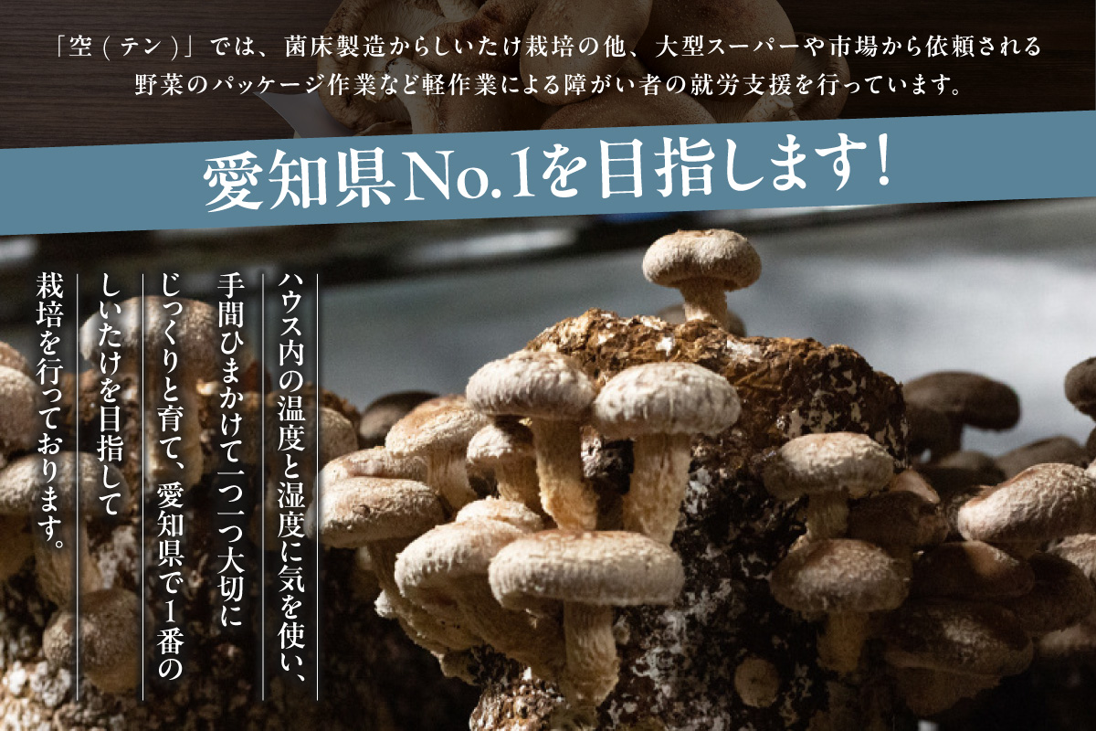 [№22-0022]空（テン）しいたけ