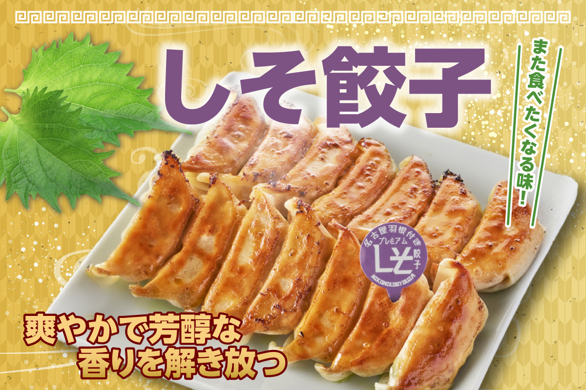 にこにこ餃子の名古屋餃子2種セット（120個入）（2344）