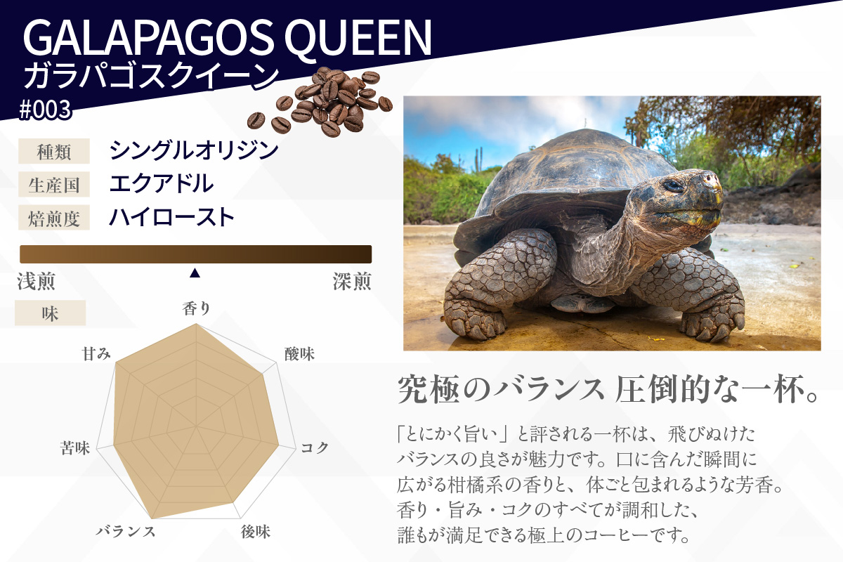 [№40-3233]レアコーヒー・プレミアムセット【豆のまま】