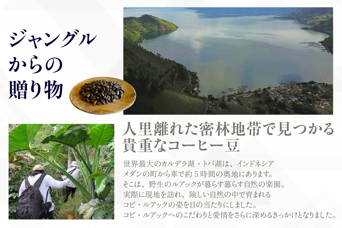 [№40-3240]幻のコーヒー　コピ・ルアック 100g【豆のまま】