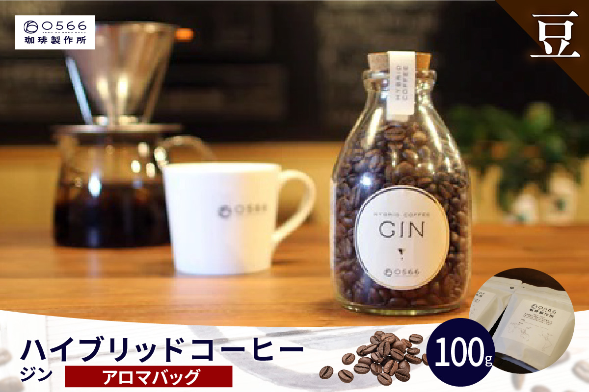 ハイブリッドコーヒー　ジン アロマバッグ100g【豆のまま】（3389）