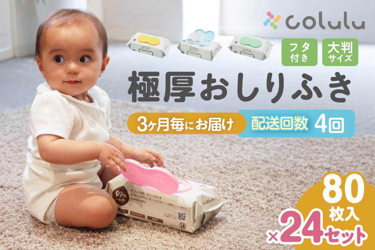 【４回定期便】おしり拭き 80枚入り 12個セット×２個セット（3470）