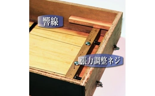 [№21-0726]カホン(スナッピー付、響線4本)・バッグ・教則本の３点セット TCA-2(cajon-set)