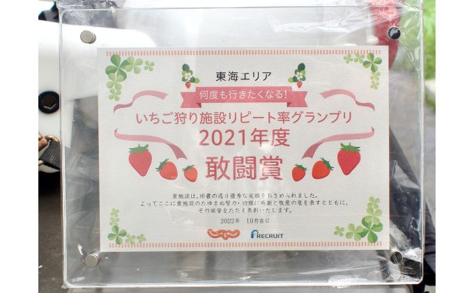 ストロベリーノ下田いちご狩り券2名様（スタンダードプラン） 体験チケット チケット 