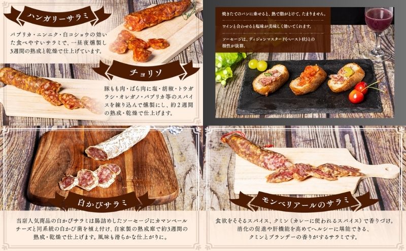 サラミ 4種 セット ゴシック シャルキュトリー ソーセージ ウィンナー ウインナー 燻製 詰め合わせ ギフト 贈答 贈答品 肉 お肉 豚肉 豚 ポーク 熟成肉 加工食品 加工品 白カビ つまみ おつまみ 酒のつまみ 冷蔵 冷蔵配送 愛知 愛知県 日進市