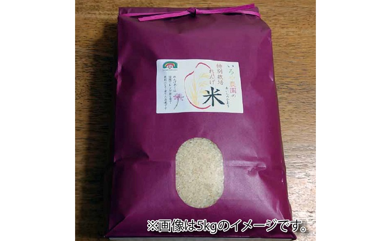 特別栽培れんげ米 日進市産 あいちのかおり 3kg × 1袋 米 白米 精米 特別栽培米 コメ お米 おこめ 愛知 愛知県 日進市