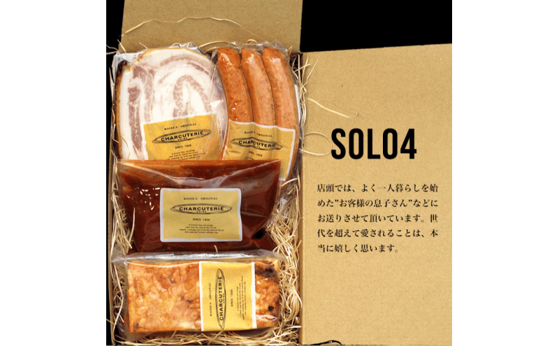 Solo4 ラザニア 煮込みハンバーグ ポルケッタ ポークウィンナー 肉 愛知 日進市 ※配送不可：離島