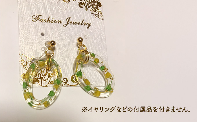 レジン液 100g × 2本 セット 大容量 レジン UVレジン UVレジン液 LEDレジン UV LED クリア ハードタイプ 低粘度 シリコンモールド 手芸 クラフト 手作り 愛知 愛知県 日進市