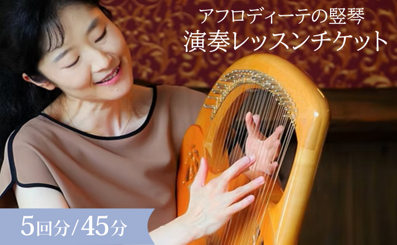 アフロディーテの竪琴　演奏教室チケット レッスン 体験 チケット 楽器 愛知県 日進市