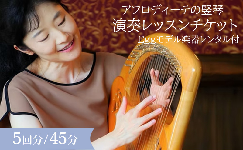 アフロディーテの竪琴　演奏体験セット レッスン 体験 チケット 楽器 愛知県 日進市