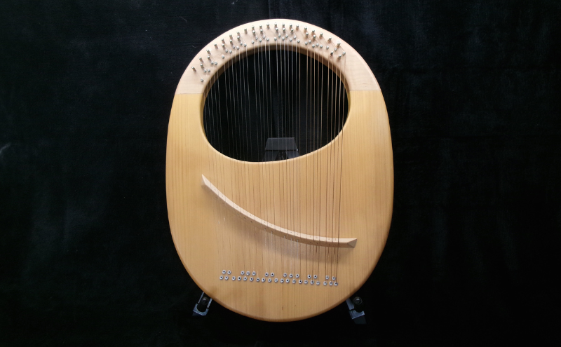 アフロディーテの竪琴　エッグモデル 楽器 愛知県 日進市